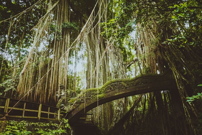 Best of Ubud Sightseeing Private All Inclusive Tour - Celuk silver work and the art of shopping