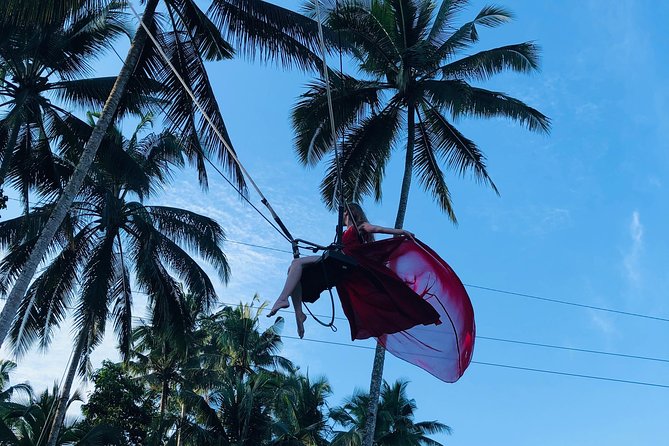 Best of Ubud with Jungle Swing Experience - What the $55 price really covers