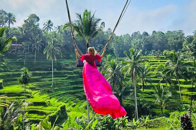 Best of Ubud with Jungle Swing Experience - Tegalalang’s terraces and Bali’s irrigation system