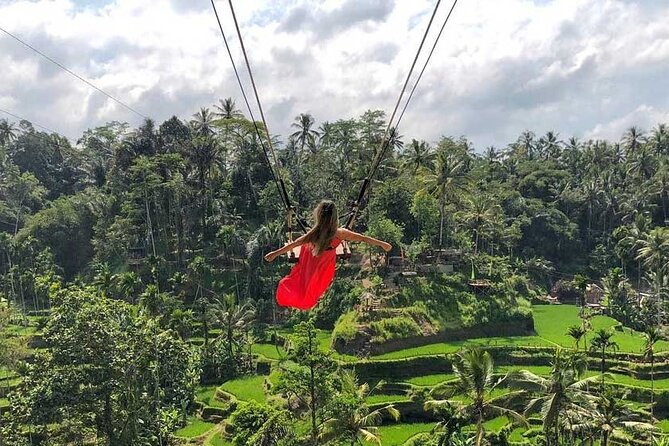 Best Ubud Tour Private Tour All Inclusive Package - A full day built around Ubud’s most popular sights