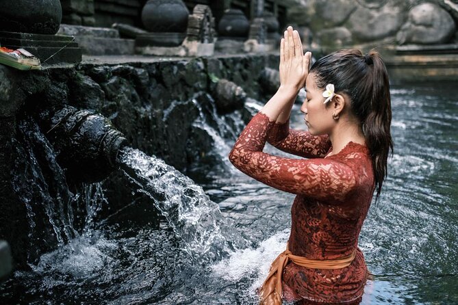 Best Ubud Tour Private Tour All Inclusive Package - Tirta Empul Temple and Bali’s holy spring