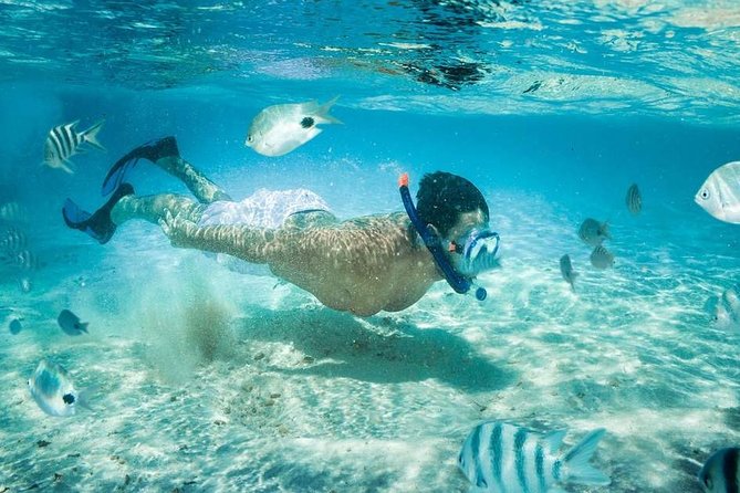 Blow Lagoon Bali Snorkeling and see Bali Bats Cave Temple - What the guide adds in the water