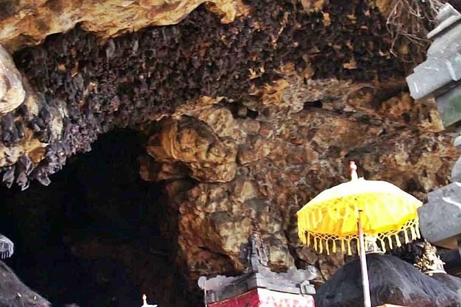 Blow Lagoon Bali Snorkeling and see Bali Bats Cave Temple - Is $25 good value?