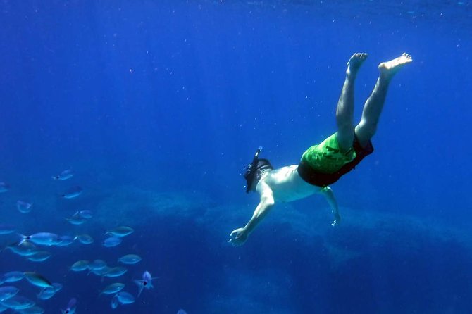 Blow Lagoon Bali Snorkeling and see Bali Bats Cave Temple - Should you book the Blue Lagoon and Goa Lawah tour?
