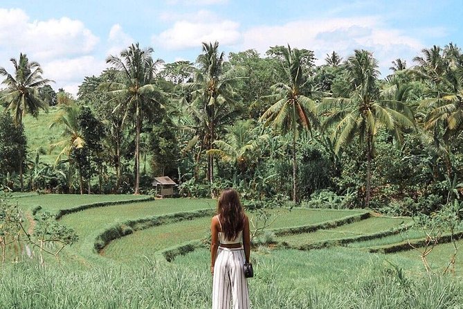Blue Lagoon Snorkeling - Jungle Swing - Ubud - All Inclusive - Lunch is included, but keep expectations modest