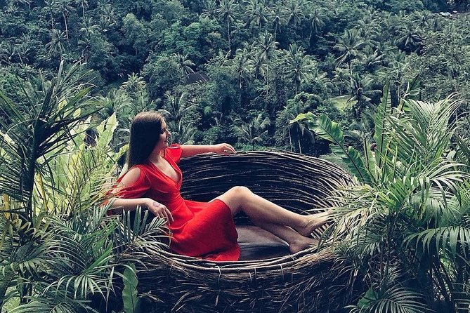 Blue Lagoon Snorkeling - Jungle Swing - Ubud - All Inclusive - The jungle swing at My Swing Bali
