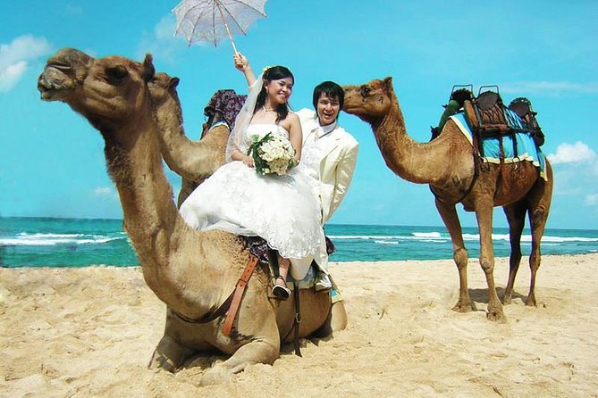 Camel Safari 30 minutes In White Sand Beach - A Camel Ride on Sawangan Beach