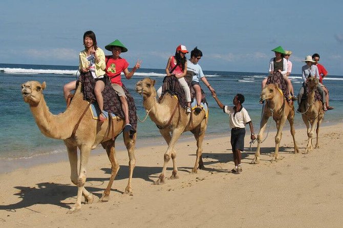Camel Safari 30 minutes In White Sand Beach - What the 30-Minute Session Feels Like