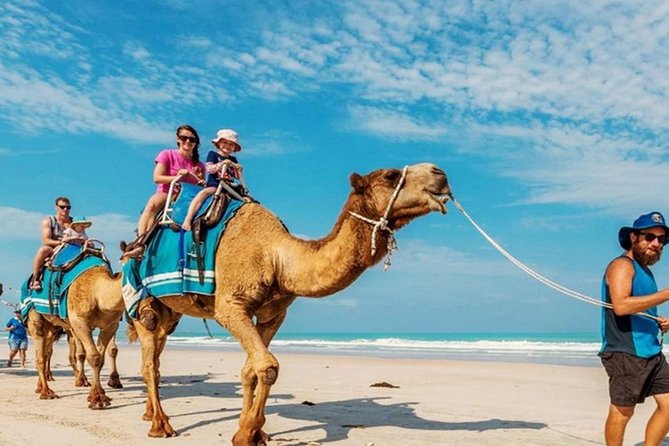 Camel Safari 30 minutes In White Sand Beach - Who Will Enjoy This Experience Most