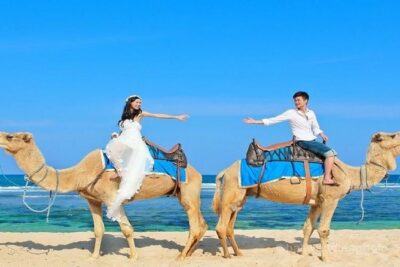 Camel Safari 30 minutes In White Sand Beach