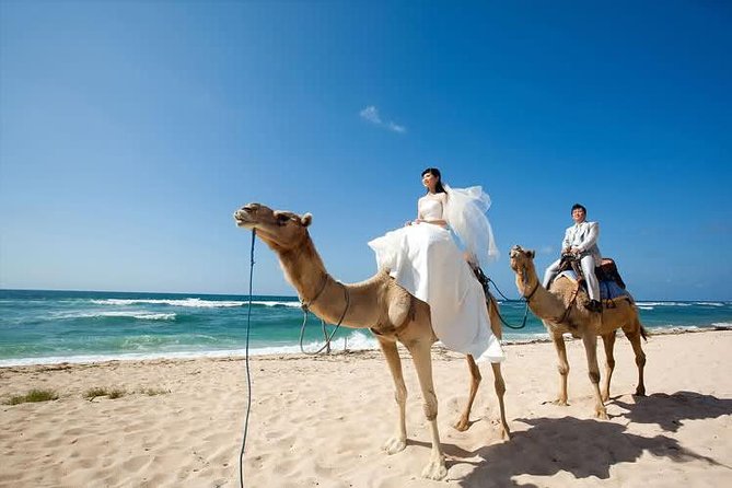Camel Safari 30 minutes In White Sand Beach - What the Activity Does Not Include