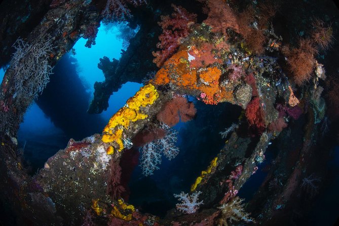 Day Trip certified divers - 3 Dives in Tulamben (pick-up & drop-off included) - Session one: exploring the USS Liberty