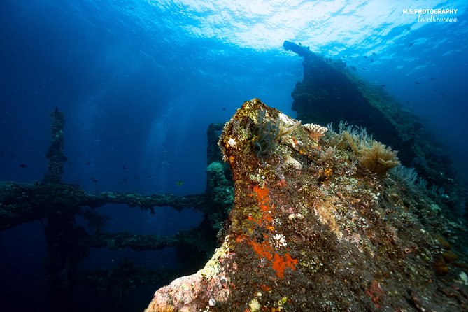 Day Trip certified divers - 3 Dives in Tulamben (pick-up & drop-off included) - What the instruction is like
