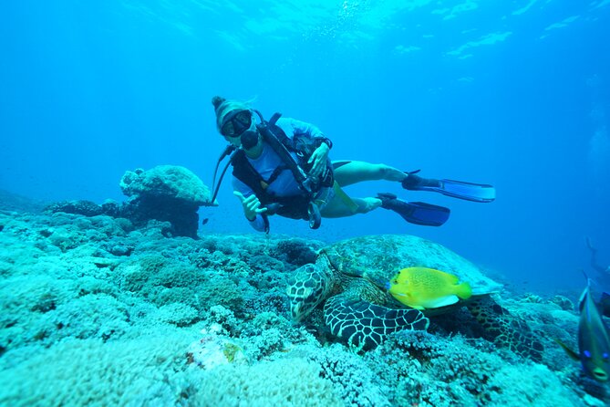 Day Trip Discover Scuba dive in Nusa Penida 2 dives (From Sanur - South Bali) - Key things to know before booking