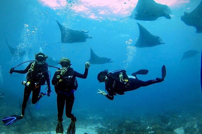 Day Trip Discover Scuba dive in Nusa Penida 2 dives (From Sanur - South Bali) - Why Nusa Penida makes a good first scuba outing