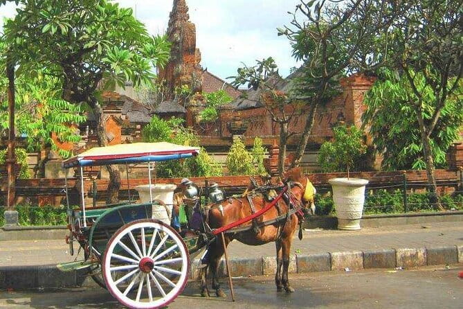 Discover Bali : Shore Excursion from Benoa Port with Free Wi-Fi - Key points at a glance