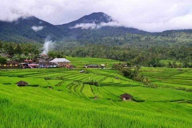 Discover Bali : Shore Excursion from Benoa Port with Free Wi-Fi - Ubud brings culture, shopping, and a shorter finish