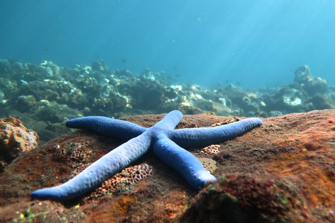 Discover Scuba Diving Tulamben Bali For Non-Certified Divers - Why Tulamben’s Liberty wreck works for beginners