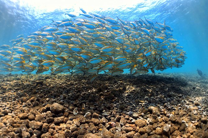 Discover Scuba Diving Tulamben Bali For Non-Certified Divers - Your 6:30 am start from South Bali