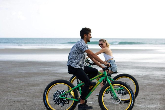 eBike Private Beach Tour Express (2 Hour) - The Sea Turtle Society stop