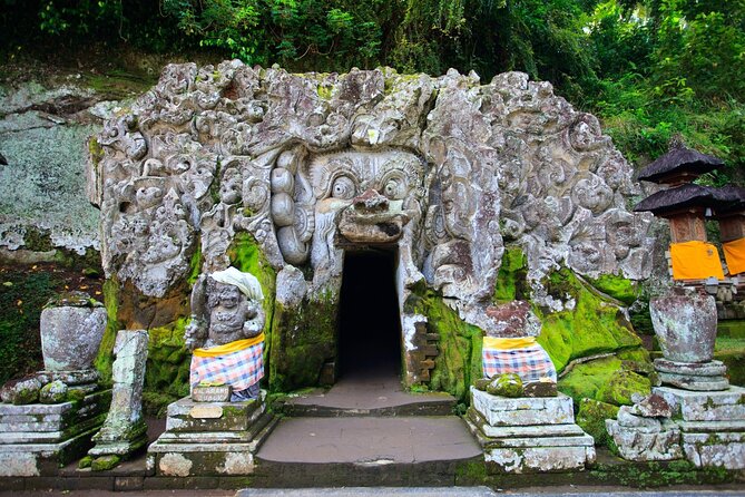Elephant Cave and Hidden Waterfall All-Inclusive Private Day Tour - What this Bali day tour is really like