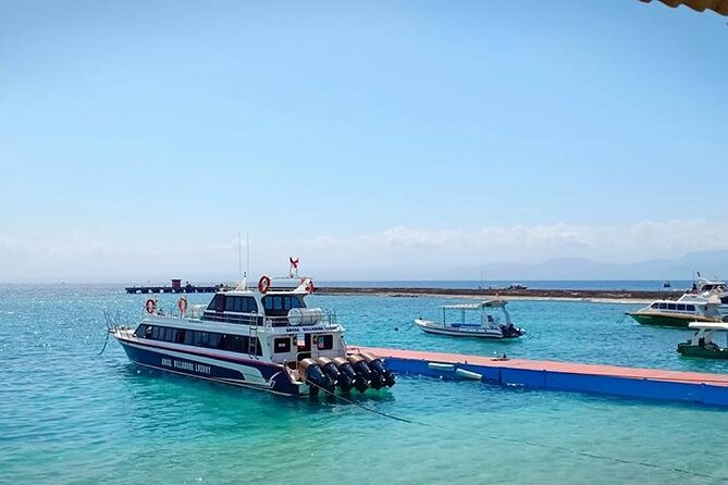 Fast Boat Transfer: Sanur to Nusa Penida by Penidago - Arriving at Nusa Penida by shoreline