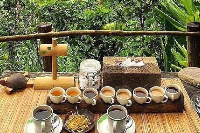 Favorite Sites of Ubud Daytrip - What the $32 price really includes