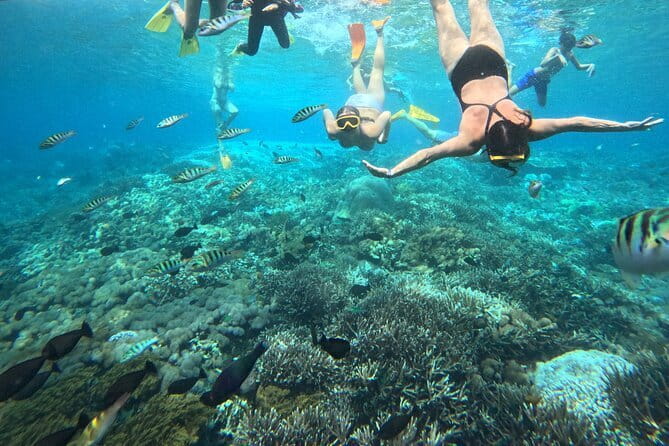 From Bali: Nusa Penida Full Day Tour and Snorkeling - Broken Beach and Angel’s Billabong make a strong pair