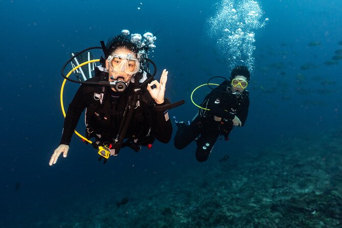 Full-Day Discover Scuba Diving Tour for Beginners in Tulamben - The Long Ride from Kuta to Tulamben