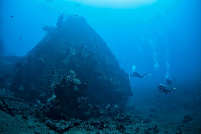 Full-Day Discover Scuba Diving Tour for Beginners in Tulamben - The Coral Garden: A Gentle First Look