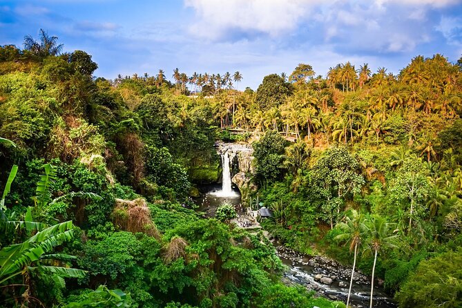 Full-Day Highlights and Best of Ubud Village - Tegenungan Waterfall starts the day with fresh air and stairs