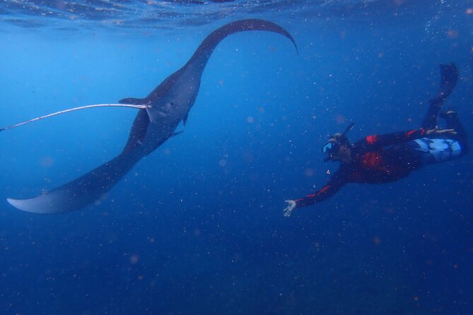 Full-Day Island-Hopping Tour from Bali - Three snorkeling stops, with weather in charge