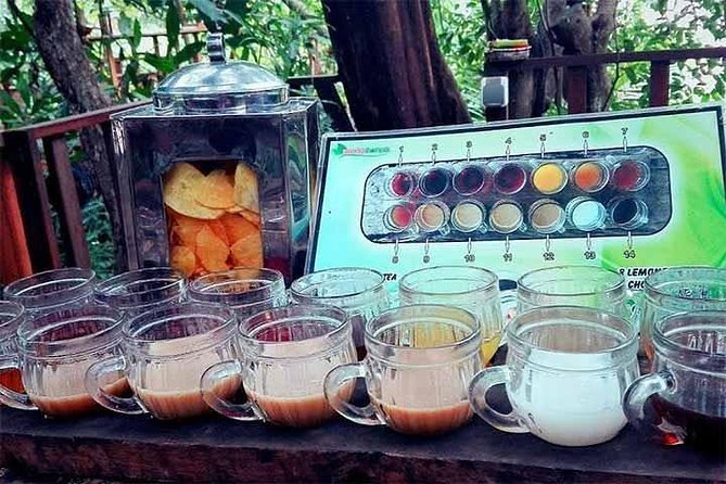 Full Day Kintamani and Penglipuran Village Private Chartered Car Tour from Bali - Kopi Luwak and the extra-cost details