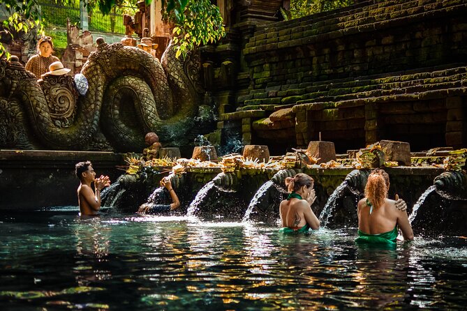 Full Day Kintamani Volcano View and Ubud Village Tour - Why the private driver changes the day