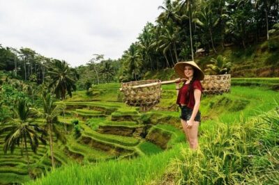 Full Day Private Guided Tour in Bali