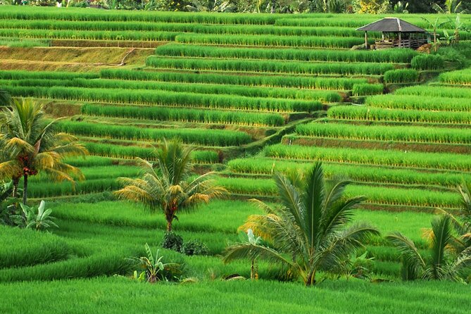Full Day Private Water Temples Tour in Bali - What this private Bali temple tour really offers