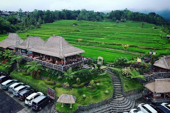 Full Day Private Water Temples Tour in Bali - What the private vehicle and driver add