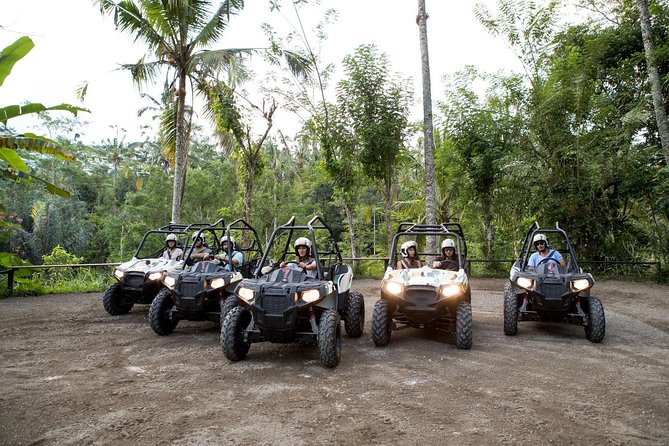 Half Day Jungle Buggies in Bali with Guide - What the Bali jungle buggy experience is really like
