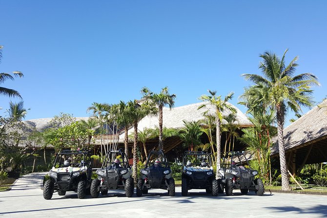 Half Day Jungle Buggies in Bali with Guide - Why driving your own buggy matters