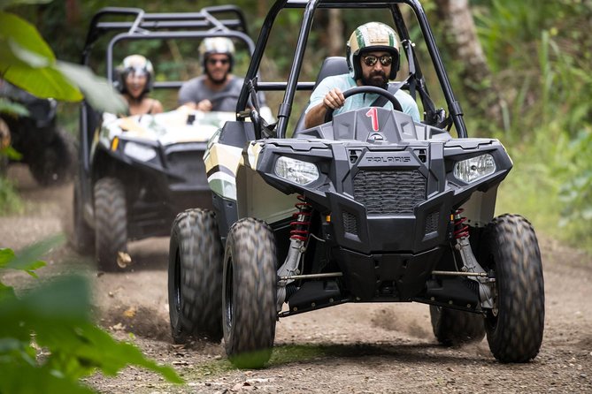 Half Day Jungle Buggies in Bali with Guide - Lunch, chocolate, and the useful pause in the day