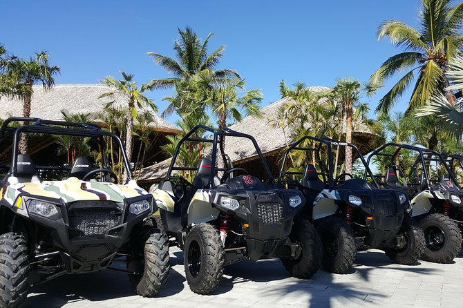 Half Day Jungle Buggies in Bali with Guide - Is $57 good value?