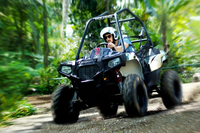 Half Day Jungle Buggies in Bali with Guide - Getting ready with safety equipment and insurance