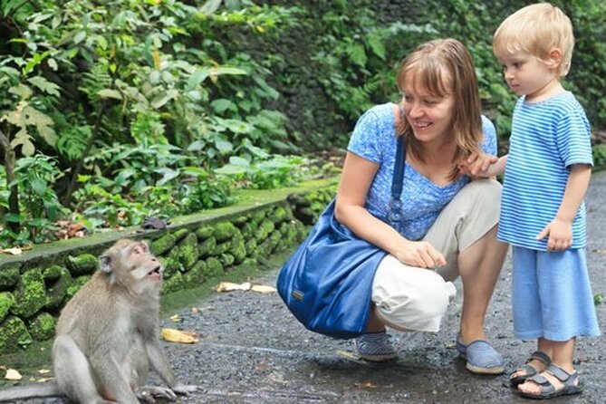 Half Day Private Tour in Ubud - Starting with the Sacred Monkey Forest
