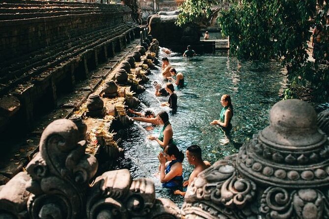 Half Day Private Tour in Ubud - Seeing Tegalalang Rice Terrace beyond the postcard view