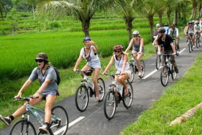 Halo Bike Cycling Tour Downhill