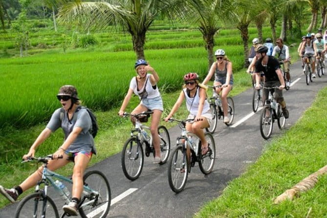 Halo Bike Cycling Tour Downhill - From resort pickup to rural Bali
