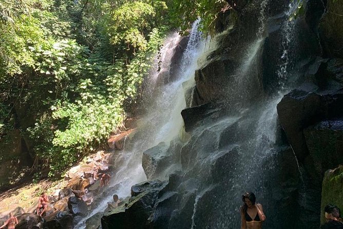 Individual Bali Day Trip with Private Driver and Free WiFi - North and East Bali require an early alarm