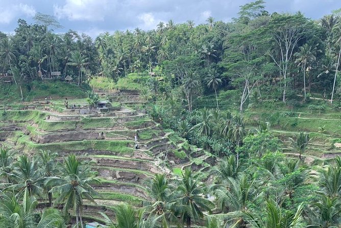 Individual Bali Day Trip with Private Driver and Free WiFi - Seminyak, Canggu, Sanur, and Denpasar