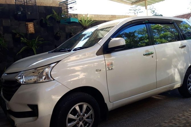 Individual Bali Day Trip with Private Driver and Free WiFi - What your driver may add to the day