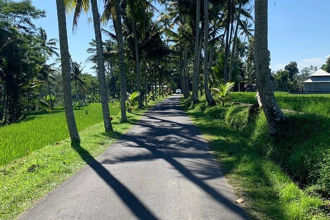 Individual Bali Day Trip with Private Driver and Free WiFi - Costs, comfort, and the traffic question